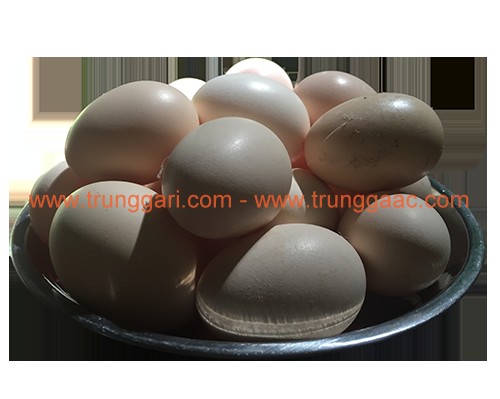 Trứng gà ác - trứng gà ri đôi